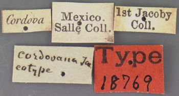 Media type: image; Entomology 18769   Aspect: labels